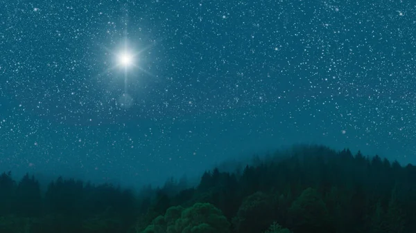 Cielo Notturno Nella Foresta Con Stelle Luna — Foto Stock
