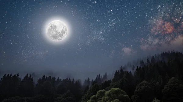 Céu Noturno Floresta Com Estrelas Lua — Fotografia de Stock