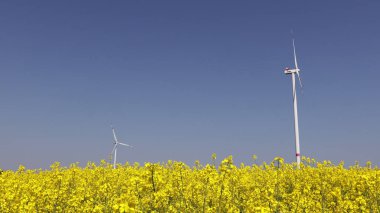 Yel değirmenlerinin arka planına karşı yaz manzarası