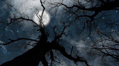Ormanda yıldızlı ve aylı bir gece gökyüzü