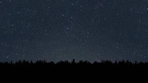 Ein Nachthimmel Wald Mit Sternen Und Mond — Stockfoto