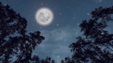 Gece ormanında yüzen yıldızlar ve bulutlar.