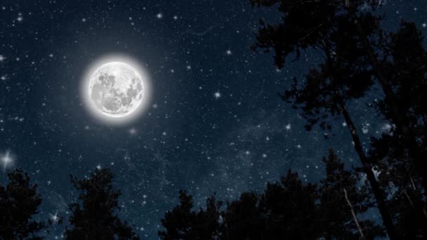 Gece Ormanında Yüzen Yıldızlar Bulutlar — Stok video