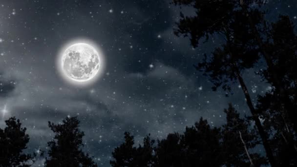Gece Ormanında Yüzen Yıldızlar Bulutlar — Stok video