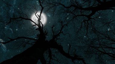 Ormanda yıldızlı ve aylı bir gece gökyüzü