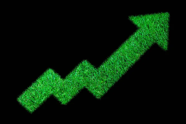 Growth Diagram Grass Black Background — Stock Photo, Image