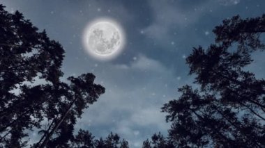 Gece ormanında yüzen yıldızlar ve bulutlar