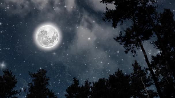Gwiazdy Chmury Unoszące Się Nocnym Lesie — Wideo stockowe