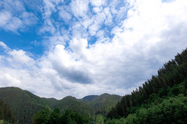 Yaz aylarında Karpat Dağları