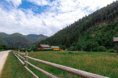 Yaz aylarında Karpat Dağları