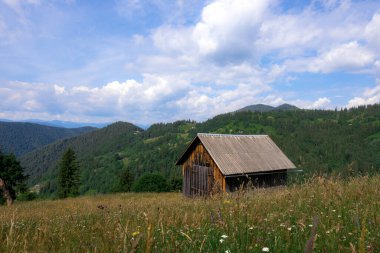 Yaz aylarında Karpat Dağları