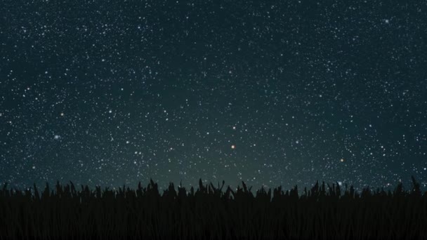 Green Field Background Night Sky High Quality Footage — Stock Video