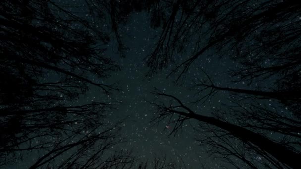 Bewegung Der Sterne Nachthimmel Mit Blick Auf Die Berge Hochwertiges — Stockvideo