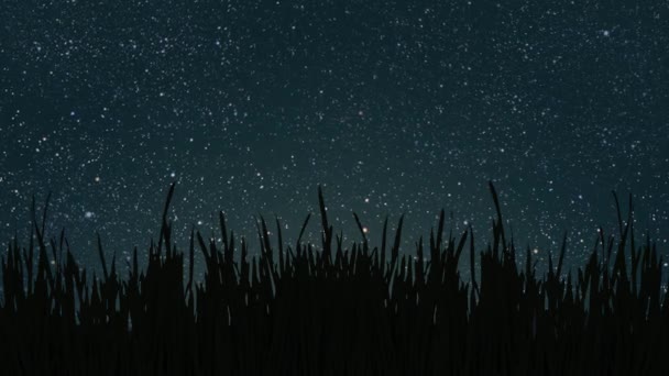 Câmp Verde Fundalul Cerului Noapte Înregistrare Înaltă Calitate — Videoclip de stoc