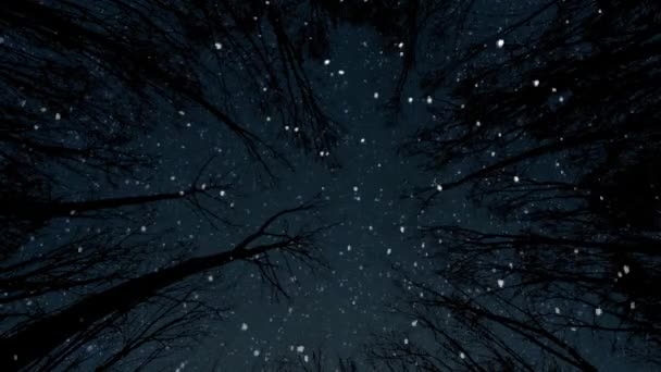 夜に雪が降る冬のクリスマスの背景 — ストック動画