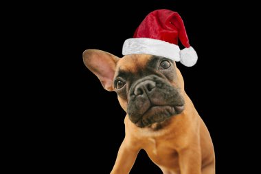 Siyah arka planda Noel Baba şapkasıyla noel nesnesi