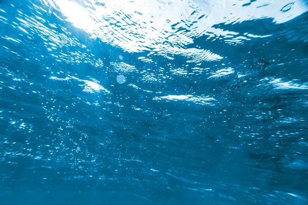 Підводний Кораловий Риф Червоному Морі Високоякісна Фотографія — стокове фото