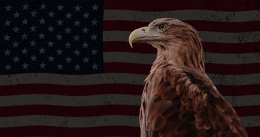 Amerikan bayrağının arka planında bir Kartal