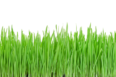 png biçiminde saydam bir arkaplan üzerindeki nesne