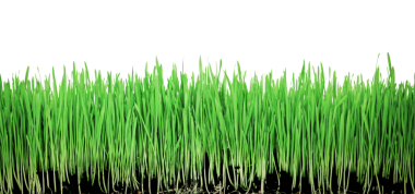 png biçiminde saydam bir arkaplan üzerindeki nesne