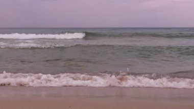 Dalgalı bir deniz manzarasında metin için bir yer. Yüksek kalite 4k görüntü