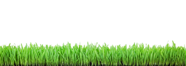 Png arka planında obgegt