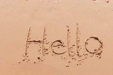 Sahildeki palmiye ağaçlarıyla ilgili bir yazı.