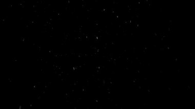 Siyah arka planda yavaş yavaş kar yağıyor. Yüksek kalite 4k görüntü