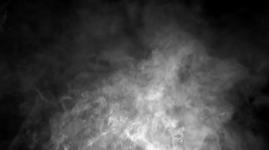 Siyah arka planda kırmızı yangın. Yüksek kalite 4k görüntü