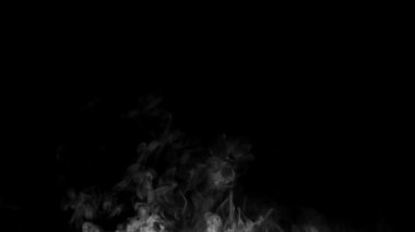 Siyah arka planda kırmızı yangın. Yüksek kalite 4k görüntü