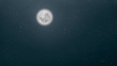 Gece ormanında yıldızlı gökyüzü