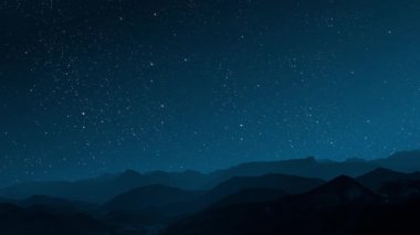 Gece ormanında yıldızlı gökyüzü