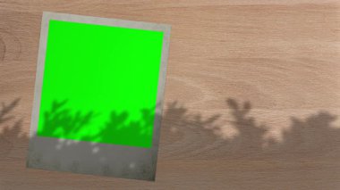 Yeşil ekranlı fotoğraf kartı, arka planda sallanan ağaçlar. Yüksek kalite 4k görüntü