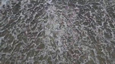 Deniz kıyısında dalgalar ağır çekimde