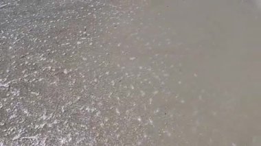 Deniz kıyısında dalgalar ağır çekimde