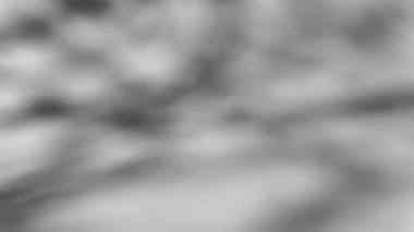 Bir ağacın gölgesi şeffaf bir arkaplanda sallanır