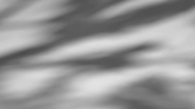 Bir ağacın gölgesi şeffaf bir arkaplanda sallanır