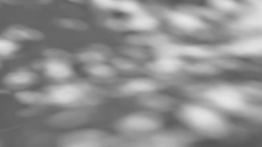 Bir ağacın gölgesi şeffaf bir arkaplanda sallanır