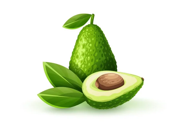 Avocado Frutta Verde Con Sezione Ossicini Foglia Vegetale Matura Fondo — Vettoriale Stock