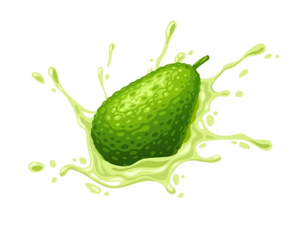 Zielony Owoc Awokado Soczystym Pluskiem Dojrzałe Warzywa Izolowane Białym Tle — Wektor stockowy