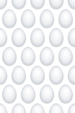 Beyaz kuş yumurtalarının kusursuz deseni