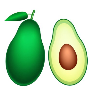 Illustration of fresh avocado fruit, whole and cut in half avocado with pit