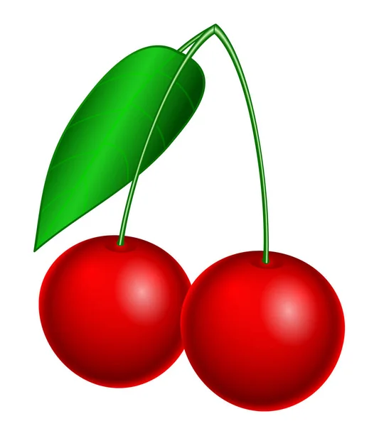 Ilustrace Zralého Třešňového Ovoce Bez Mřížky Přechodu — Stockový vektor