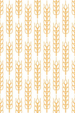 Olgun bir buğday kulağının kusursuz deseni