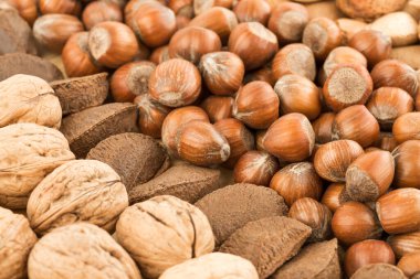 Fındık, ceviz ve Brezilya fındığı yakın çekim görüntüsü. Üst yatay görüntü. Arka plan olarak çeşitli fıstıklar.