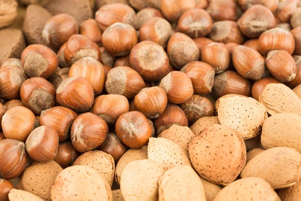 Hazelnuts, almonds and brazil nuts closeup image. Top horizontal view. Various nuts as a background.