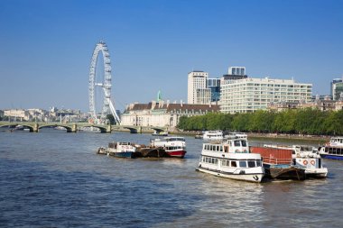 London Eye, County Hall, Westminster Köprüsü Thames nehrinin kıyısından.