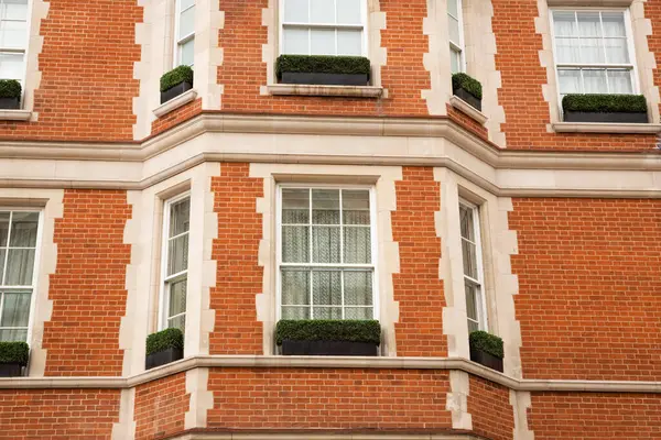 Old Beautiful Building London United Kingdom Balkonies Plant Pots — Stock Photo, Image