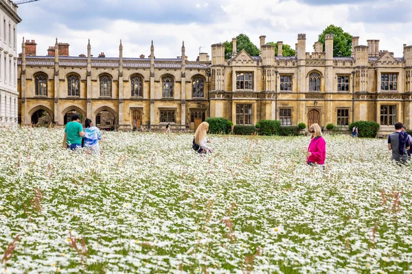 Cambridge Großbritannien Juni 2022 Unendliche Menschen Auf Einer Wilden Gänseblümchenwiese lizenzfreie Stockbilder