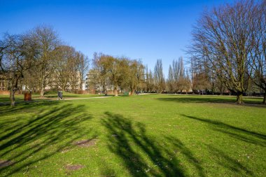 Ağaçlar karada gölgeler oluşturuyor. Baharda şehir parkı, güneşli bir günde yürüyen insanlar..
